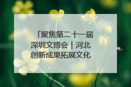 聚焦第二十一届深圳文博会｜河北创新成果拓展文化产业“朋友圈”