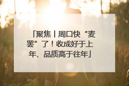 聚焦丨周口快“麦罢”了！收成好于上年、品质高于往年