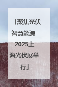 聚焦光伏智慧能源 2025上海光伏展举行
