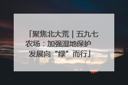 聚焦北大荒｜五九七农场：加强湿地保护 发展向“绿”而行