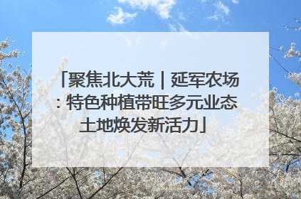 聚焦北大荒｜延军农场：特色种植带旺多元业态 土地焕发新活力