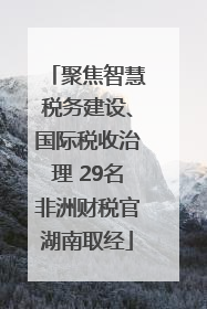聚焦智慧税务建设、国际税收治理 29名非洲财税官湖南取经