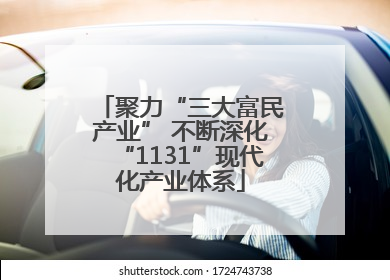 聚力“三大富民产业” 不断深化“1131”现代化产业体系