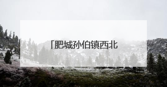 肥城孙伯镇西北角村：洋葱丰收圆百姓致富梦