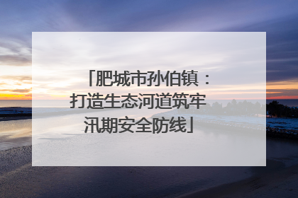 肥城市孙伯镇：打造生态河道筑牢汛期安全防线