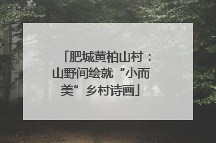 肥城黄柏山村：山野间绘就“小而美”乡村诗画