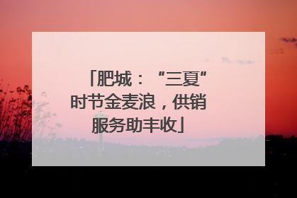 肥城：“三夏”时节金麦浪，供销服务助丰收