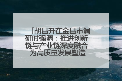 胡昌升在金昌市调研时强调：推进创新链与产业链深度融合 为高质量发展塑造新动能新优势