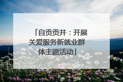 自贡贡井：开展关爱服务新就业群体主题活动