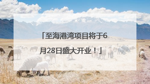 至海港湾项目将于6月28日盛大开业！