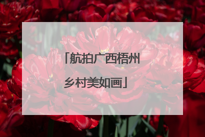 航拍广西梧州乡村美如画