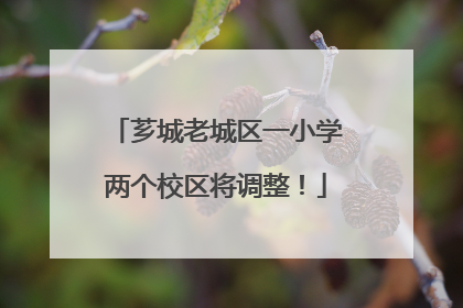 芗城老城区一小学两个校区将调整！