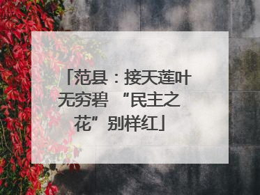 范县：接天莲叶无穷碧 “民主之花”别样红