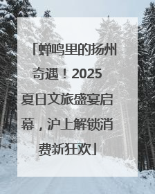 蝉鸣里的扬州奇遇！2025夏日文旅盛宴启幕，沪上解锁消费新狂欢
