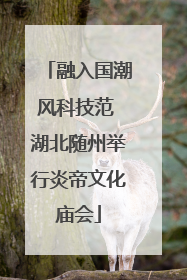 融入国潮风科技范 湖北随州举行炎帝文化庙会