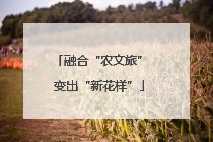 融合“农文旅” 变出“新花样”