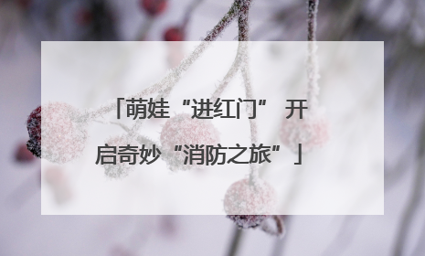 萌娃“进红门” 开启奇妙“消防之旅”