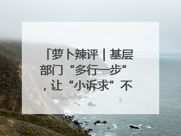 萝卜辣评｜基层部门“多行一步”，让“小诉求”不缺席法治守护
