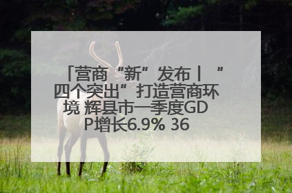 营商“新”发布丨“四个突出”打造营商环境 辉县市一季度GDP增长6.9% 36个重点项目落地