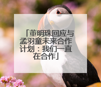 董明珠回应与孟羽童未来合作计划：我们一直在合作