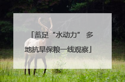 蓄足“水动力” 多地抗旱保粮一线观察