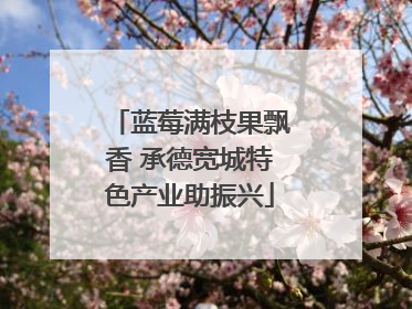 蓝莓满枝果飘香 承德宽城特色产业助振兴