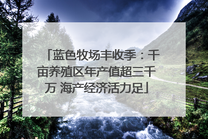 蓝色牧场丰收季：千亩养殖区年产值超三千万 海产经济活力足