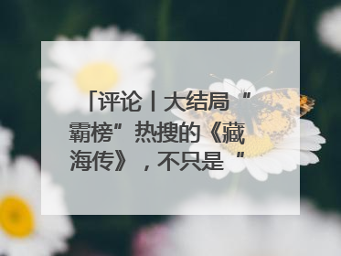 评论丨大结局“霸榜”热搜的《藏海传》，不只是“肖战变了”