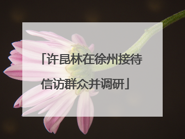 许昆林在徐州接待信访群众并调研