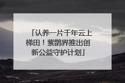 认养一片千年云上梯田！紫鹊界推出创新公益守护计划