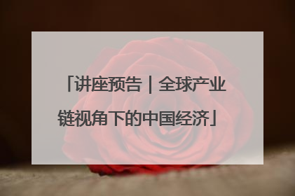 讲座预告｜全球产业链视角下的中国经济