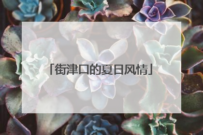 街津口的夏日风情