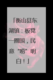 衡山县东湖镇：板凳一圈围，民意“唠”明白！
