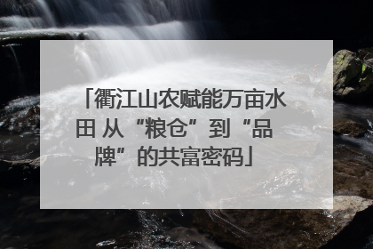 衢江山农赋能万亩水田 从“粮仓”到“品牌”的共富密码
