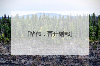 褚伟，晋升副部
