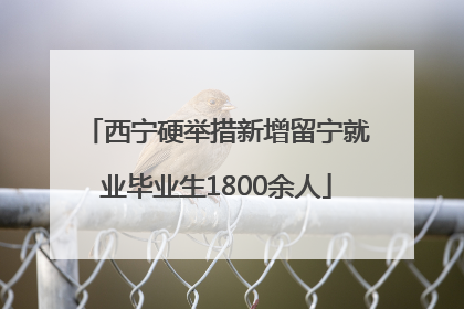 西宁硬举措新增留宁就业毕业生1800余人