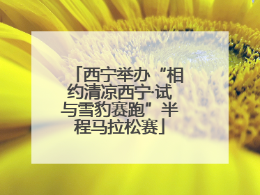 西宁举办“相约清凉西宁·试与雪豹赛跑”半程马拉松赛