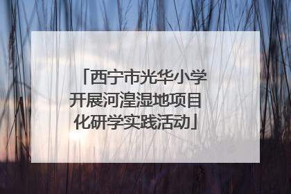 西宁市光华小学开展河湟湿地项目化研学实践活动