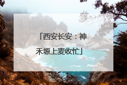 西安长安：神禾塬上麦收忙