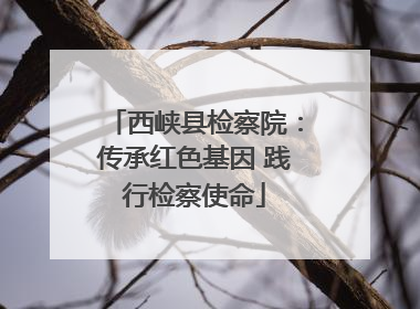 西峡县检察院：传承红色基因 践行检察使命
