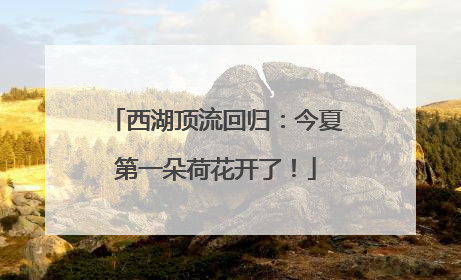 西湖顶流回归：今夏第一朵荷花开了！