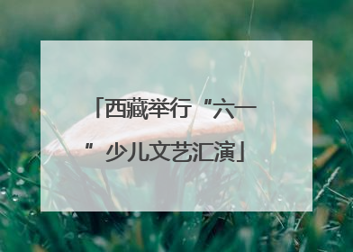 西藏举行“六一”少儿文艺汇演