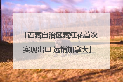 西藏自治区藏红花首次实现出口 远销加拿大