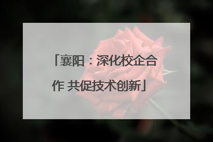 襄阳：深化校企合作 共促技术创新