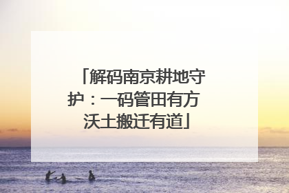 解码南京耕地守护：一码管田有方 沃土搬迁有道