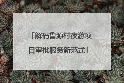 解码鲁源村夜游项目审批服务新范式