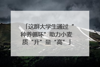 这群大学生通过“种养循环”助力小麦质“升”量“高”