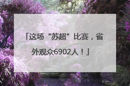 这场“苏超”比赛，省外观众6902人！