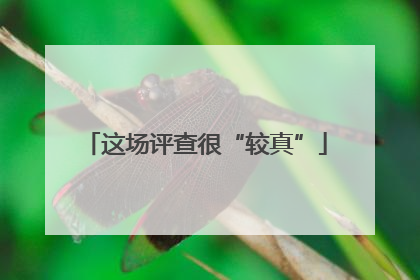 这场评查很“较真”