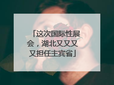 这次国际性展会，湖北又又又又担任主宾省